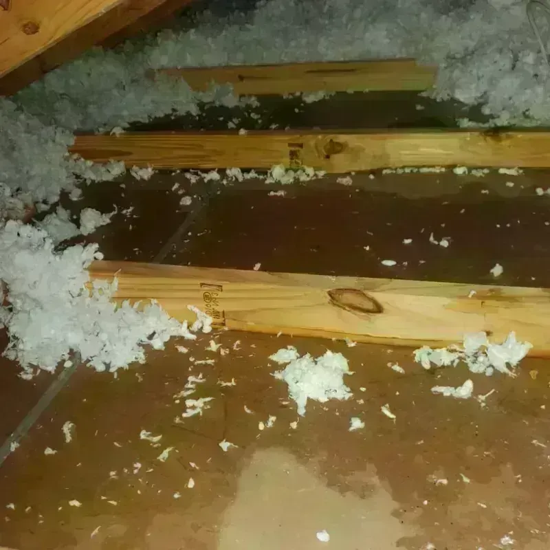 Attic Water Damage in Doylestown, PA